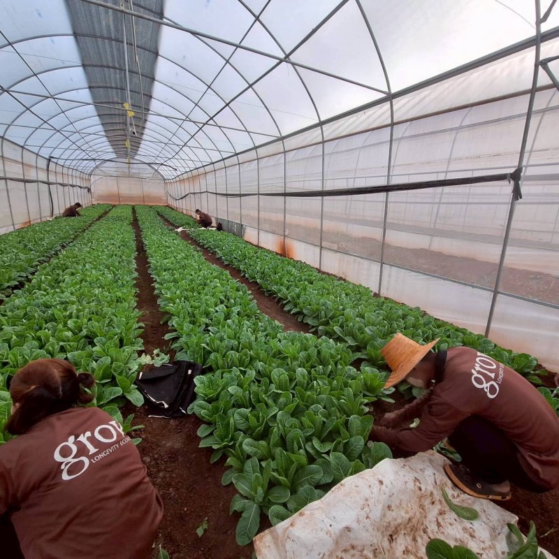 ใกล้ใจ By Sirin