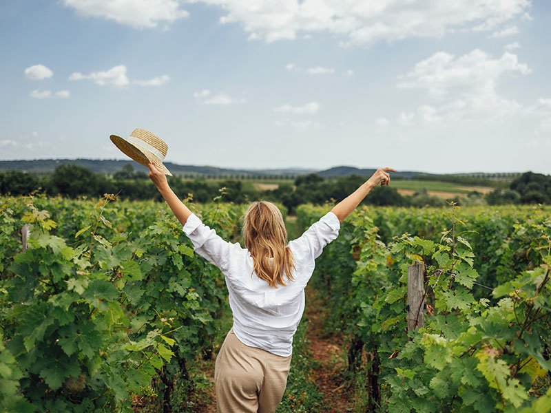 Venue and Event Management Units