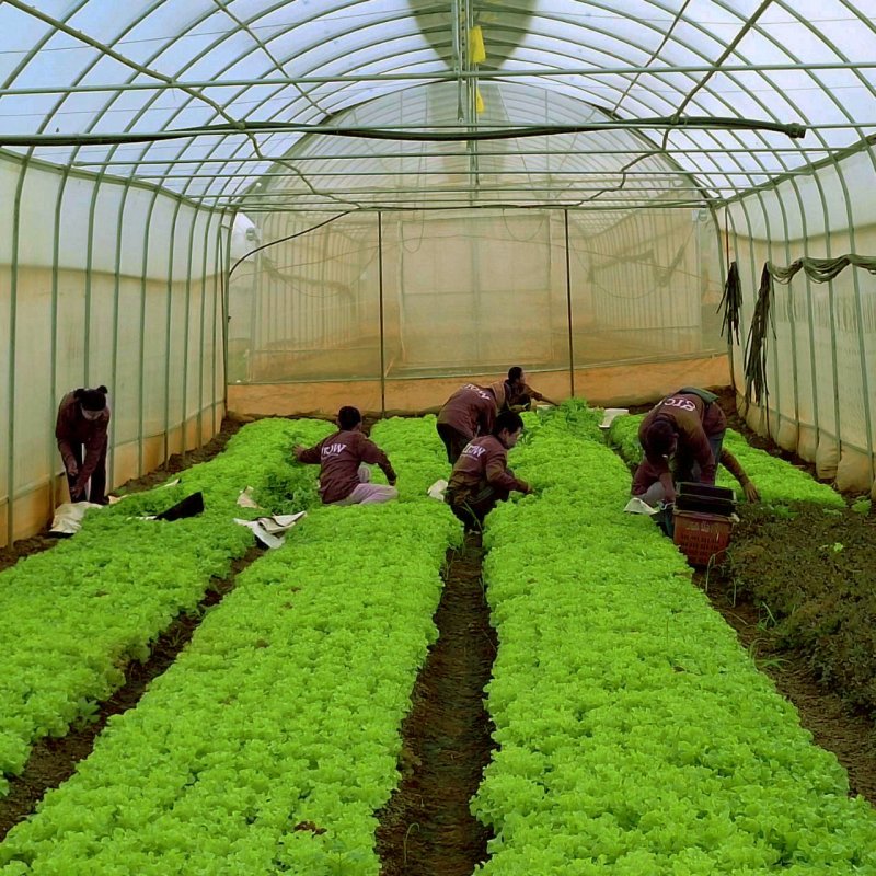 Farm